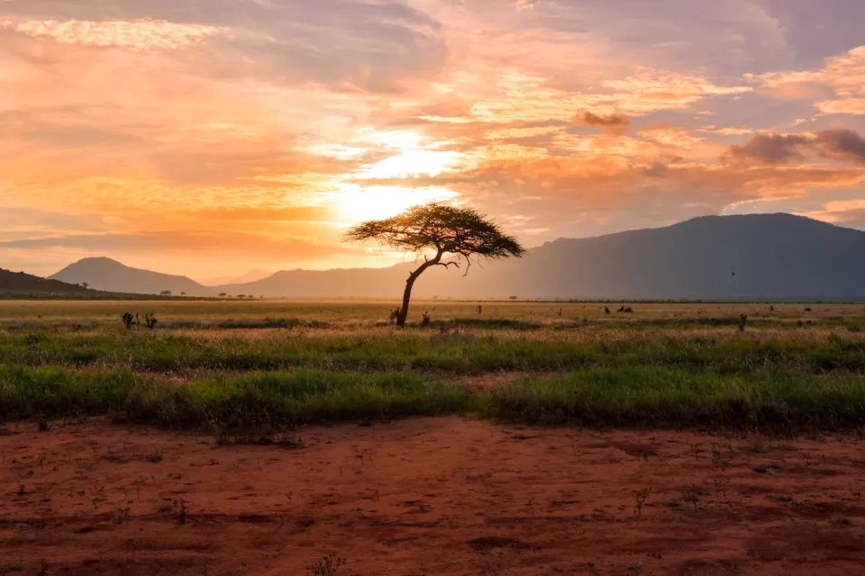 Tanzania Safari & Zanzibar Beach — Serengeti Sunset